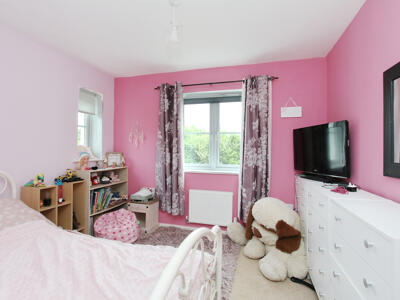 Picture 11